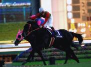 Cosmo Sunbean - Futurity Stakes