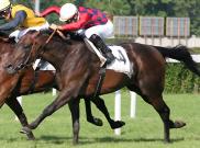 Montalegre - Coppa D'Oro