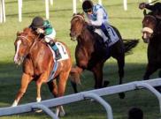 Criterium Nazionale - Choisir Shadow