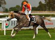 Groom Tesse - Derby Italiano