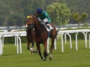 Premio Baggio - Dan Loose Daughter