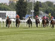 Fanoulpifer - Pr. De Montel