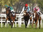 Fair Dubawi - Pr. Seregno