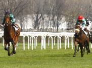 Fairy Nayef - Premio Gardone