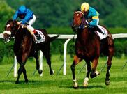 Falbrav - Gran Premio di Milano