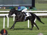 Killachy Loose - Pr. Sergio Cumani
