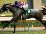 White Carnival - The Fairy Stakes