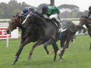 Premio Botticelli - Renowing