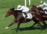 Premio Cancelli - Farrel