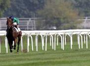 Premio Coolmore - Rosa Eglanteria