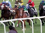 Premio Eupili - Choisir Shadow