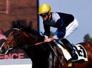 Le Vie Dei Colori - Premio Parioli (Italian 2.000 guineas)