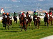 Golden Nepi - Premio Regina Elena (Italian 1.000 guineas)