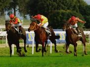 Duca D'Atri - Premio Ribot