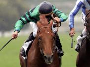 Premio Tudini - Titus Shadow