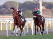 Premio Roma - Priore Philip