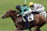 Choisir Shadow - Premio Bersaglio