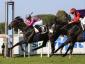 Derby Italiano