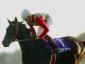 Cosmo Sunbean - Futurity Stakes