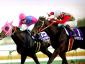 Cosmo Sunbean - Futurity Stakes