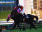 Cosmo Sunbean - Futurity Stakes