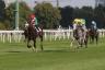 Pr. Tesio - Full Dargo