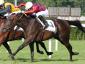 Montalegre - Coppa D'Oro