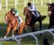 Criterium Nazionale - Choisir Shadow