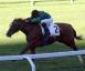 Criterium Nazionale - Choisir Shadow