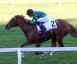 Criterium Nazionale - Choisir Shadow