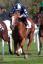 Pr. Cumani - Candy Store