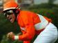 Groom Tesse - Derby Italiano