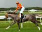 Groom Tesse - Derby Italiano
