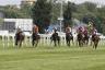 Fanoulpifer - Pr. De Montel