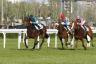 Fair Dubawi - Pr. Seregno