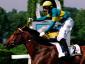 Falbrav - Gran Premio di Milano
