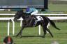 Killachy Loose - Pr. Sergio Cumani