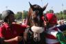 G.P. di MIlano - Full Drago