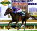 Maltese Heat - The Fairy Stakes