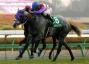 White Carnival - The Fairy Stakes