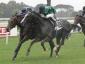 Premio Botticelli - Renowing