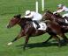 Premio Cancelli - Farrel