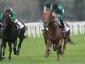 Premio Cancelli - Titus Shadow