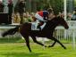 Pleasure Place - Premio Certosa
