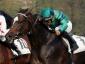Mia Diletta - Premio Coolmore