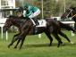 Mia Diletta - Premio Coolmore