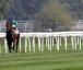 Premio Coolmore - Rosa Eglanteria