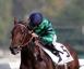 Premio Coolmore - Rosa Eglanteria