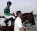 Premio Coolmore - Rosa Eglanteria