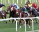 Premio Eupili - Choisir Shadow